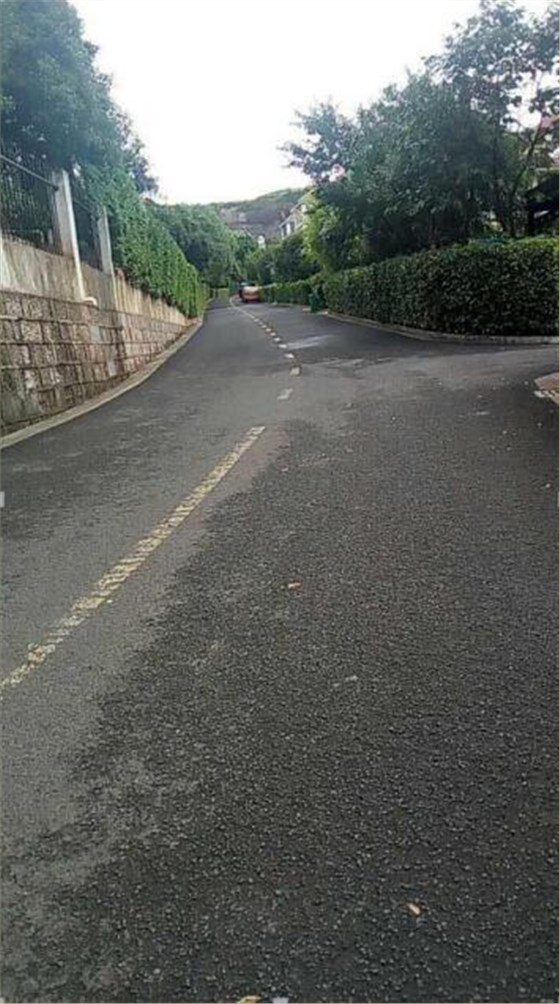 恒盛娱乐电动扫地机别墅区应用