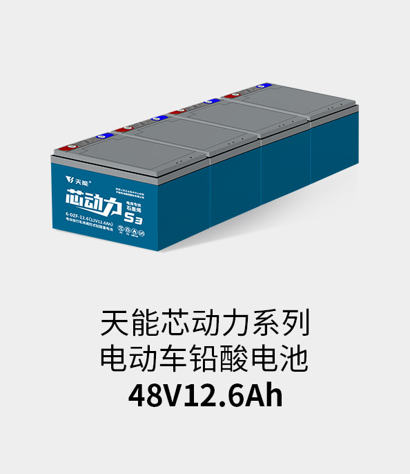意昂5电池48v12ah