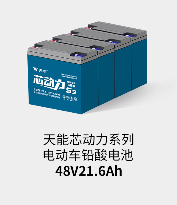 意昂5电池48v20ah