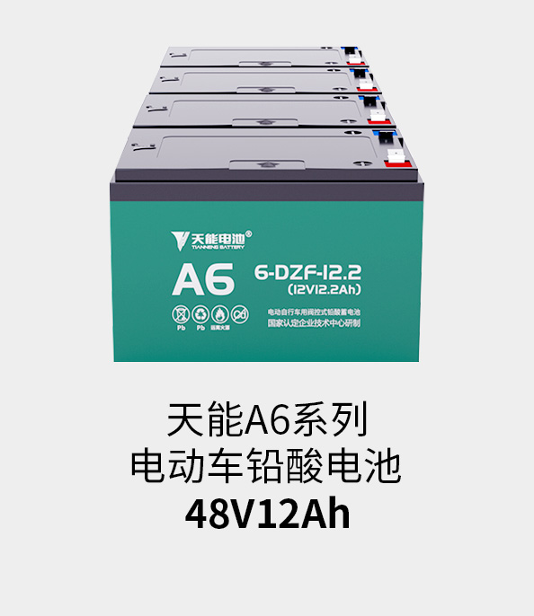 意昂5电池48v12ah