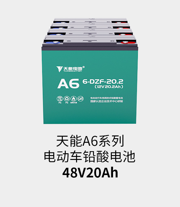 意昂5电池48v20ah