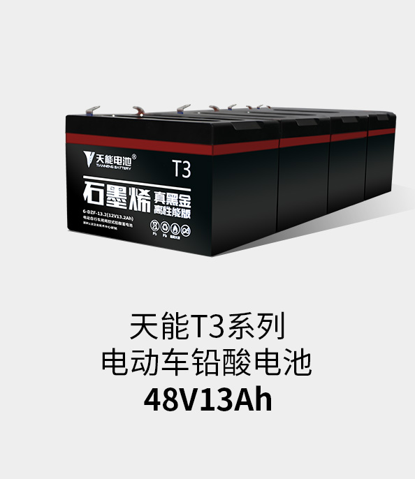 意昂5T3系列48v13ah