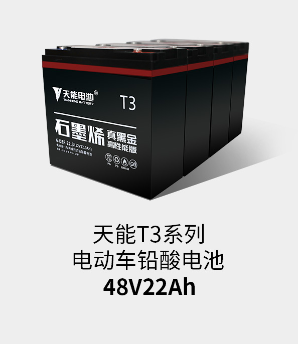 意昂5T3系列48v22ah