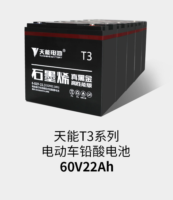 意昂5T3系列60v22ah